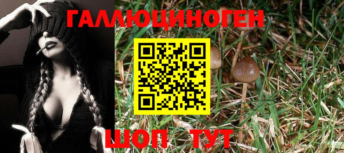Псилоцибиновые грибы Magic Shrooms Балаково