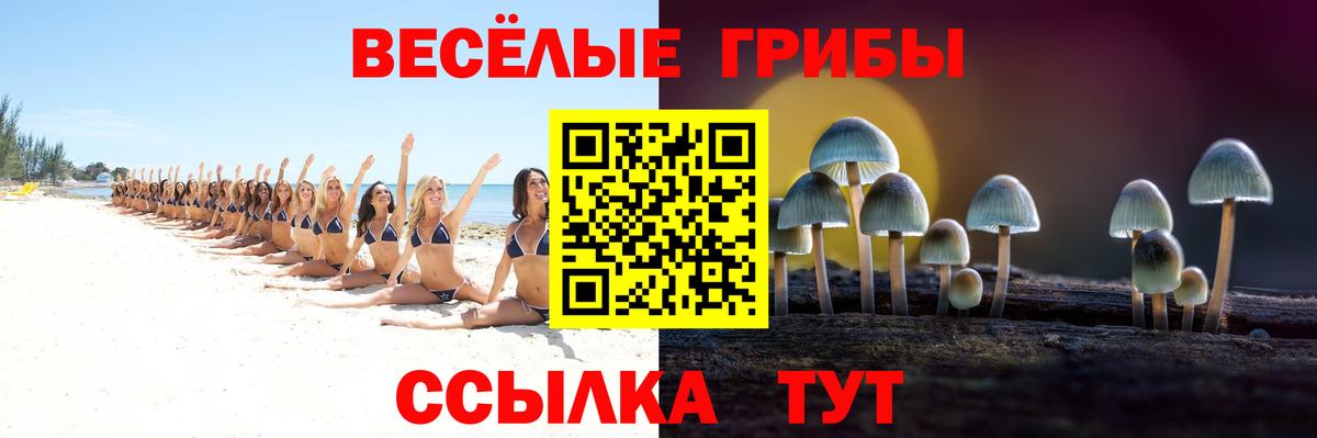 где продают наркотики  Вход с VPN  Балаково  Галлюциногенные грибы Cubensis 